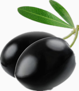 黑色的橄榄