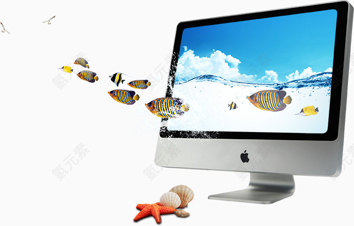 海面上的电脑和鱼群