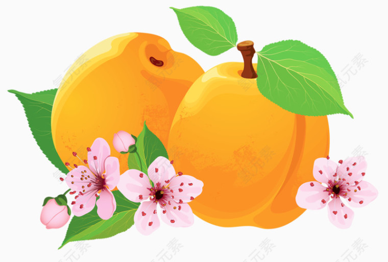 桃子和桃花