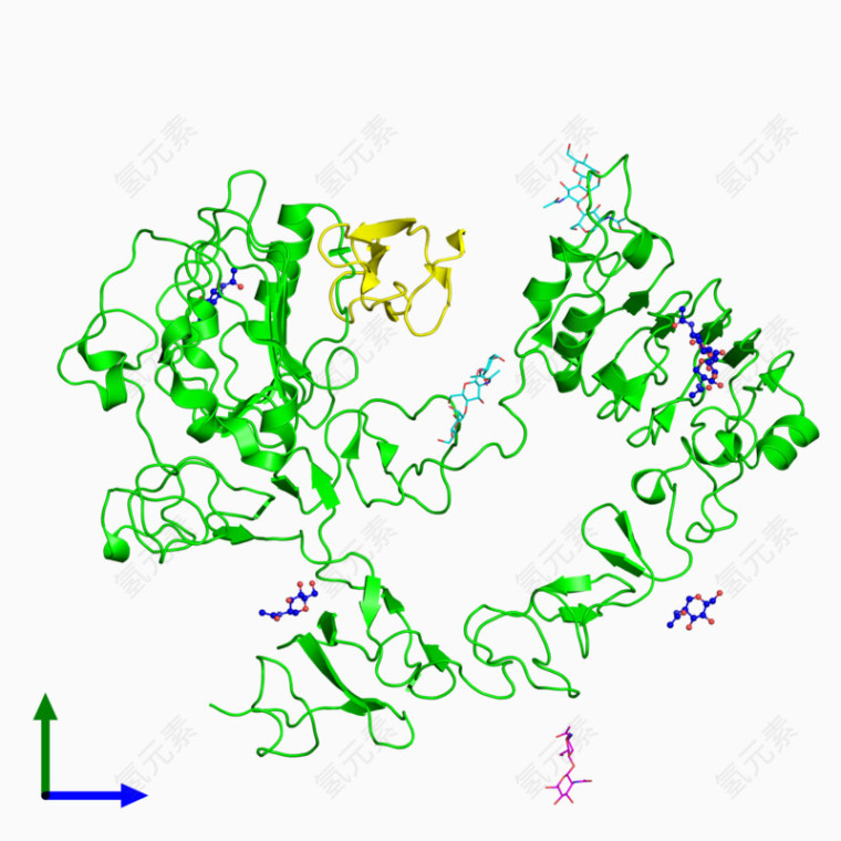 DNA·?×?1/2á11