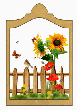 木头栅栏里的蝴蝶和黄色向日葵
