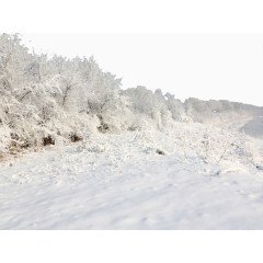 冰天雪地