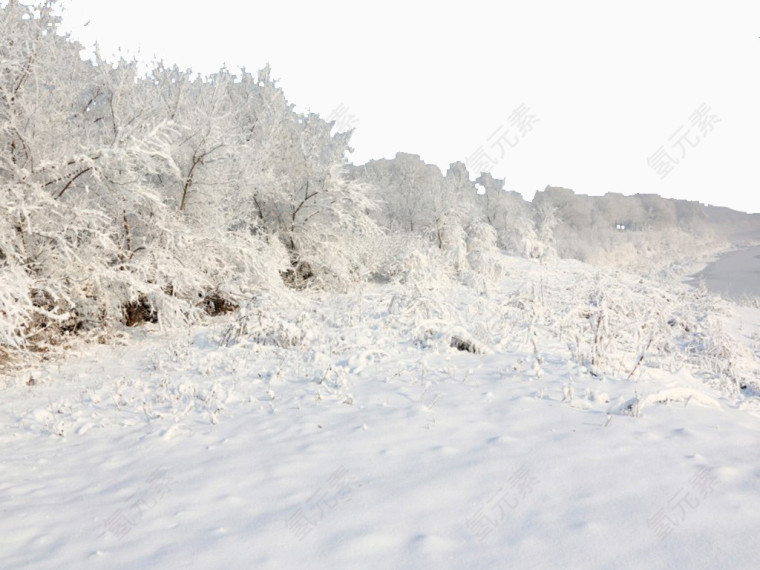 冰天雪地