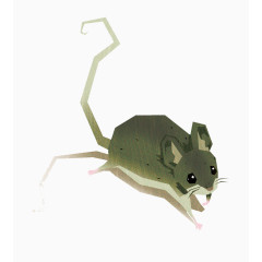 手绘可爱的小老鼠