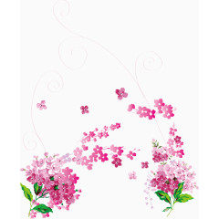 卡通樱花花纹