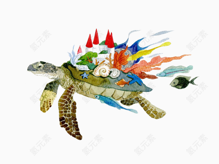 海龟背上的植物图片素材