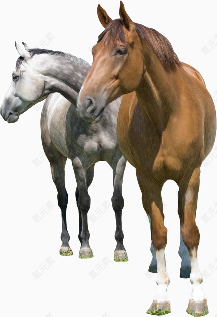 两支匹马