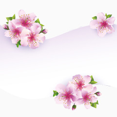 粉色樱花装饰