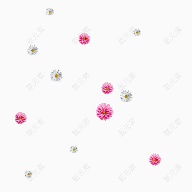 花朵植物雏菊漂浮素材装饰