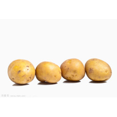 一排土豆