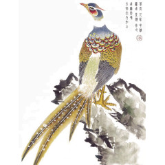 中国风花鸟画素材