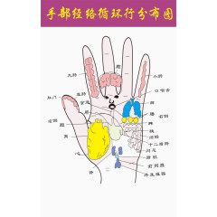 手部经络图