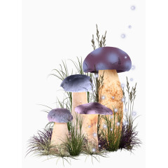 四个紫色蘑菇