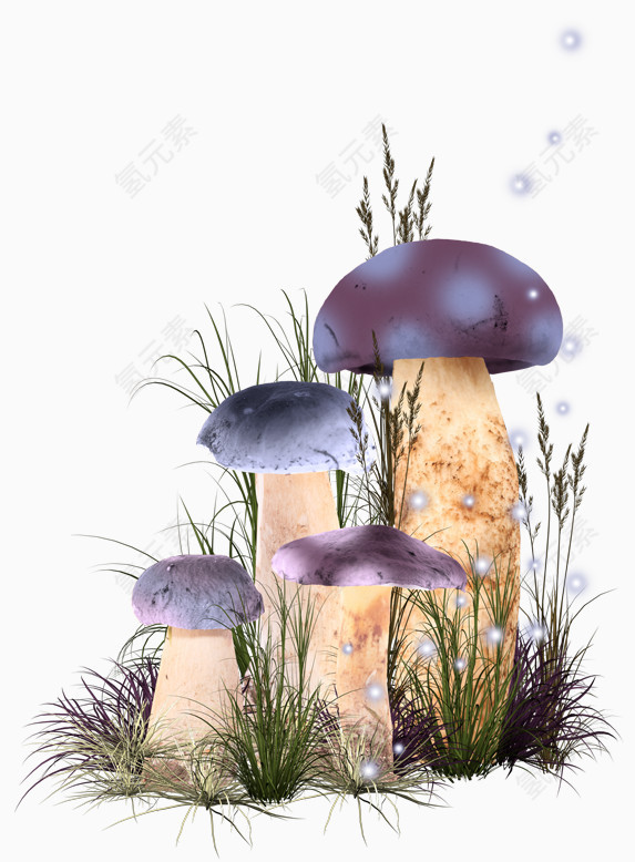 四个紫色蘑菇