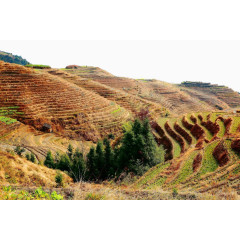 西龙脊梯田风景