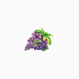 水果成熟季节 葡萄 食品 休闲