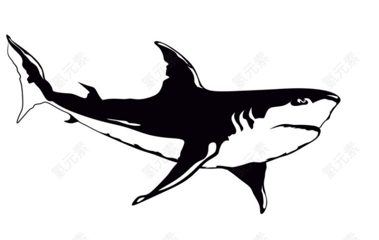 简笔黑白鲨鱼