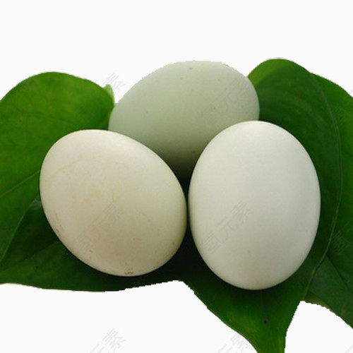 三个绿壳鸡蛋