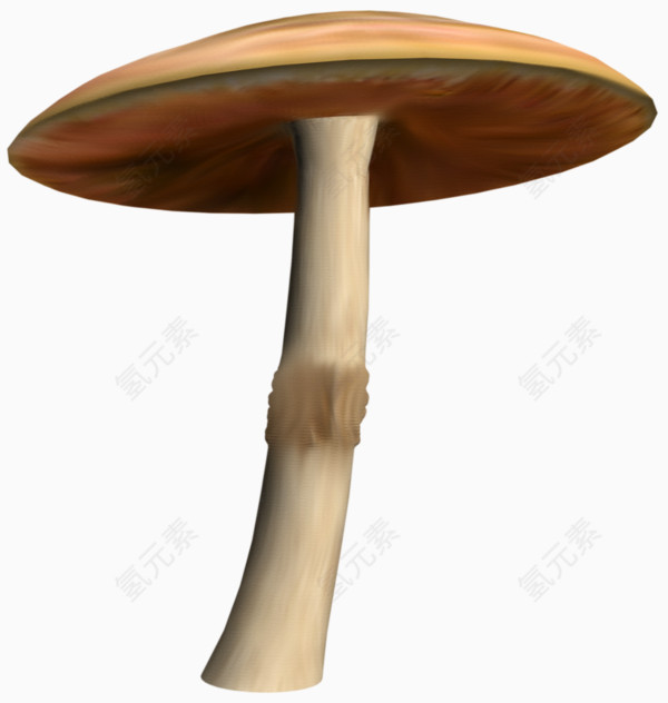 网页蘑菇模型