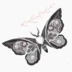 灰色骷髅精美蝴蝶