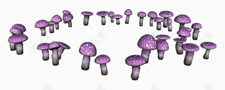 蓝紫色小蘑菇