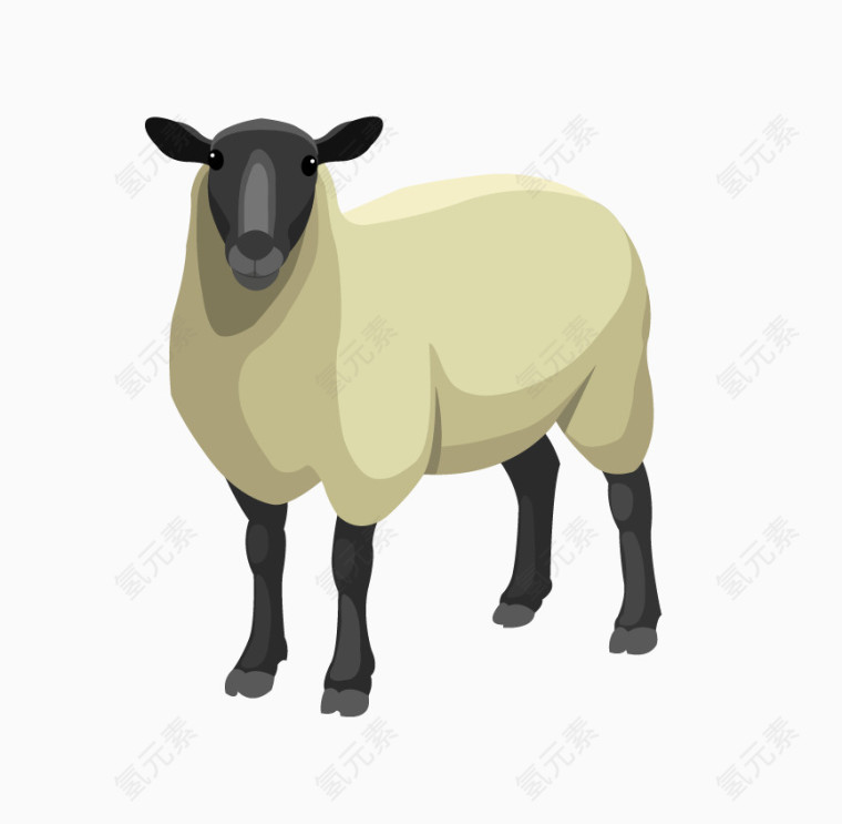 羊羔