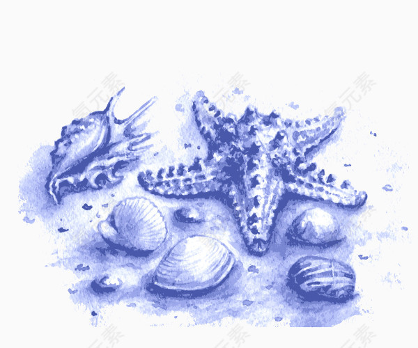 矢量蓝色海螺