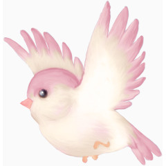 粉红小鸟