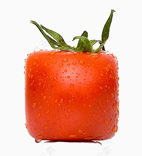 变形西红柿