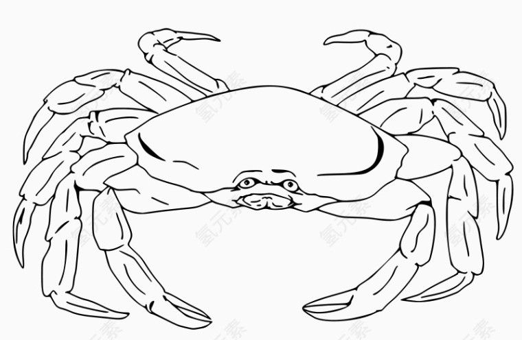 手绘的卡通螃蟹