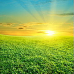 草原上的夕阳素材背景