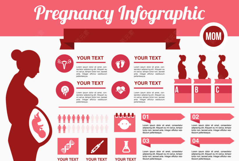 女性怀孕信息数据PPT素材下载