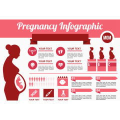 女性怀孕信息数据PPT素材