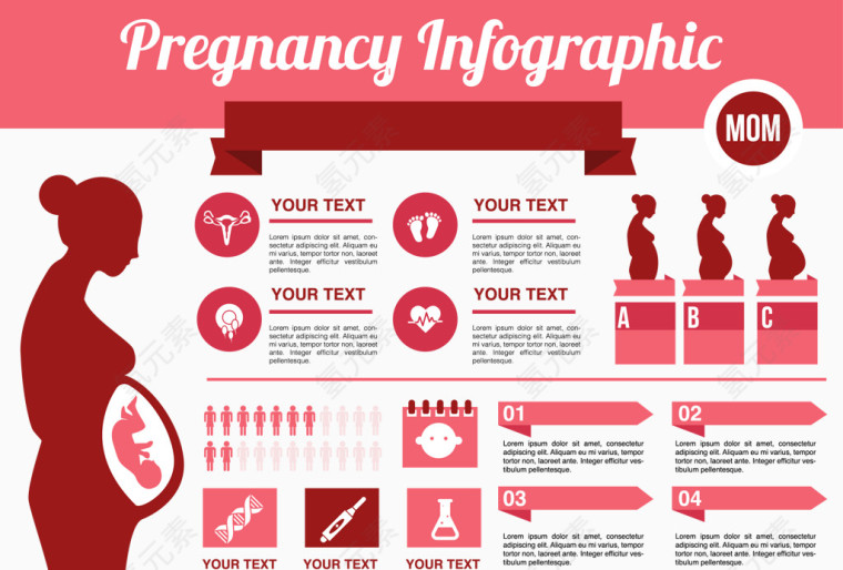 女性怀孕信息数据PPT素材