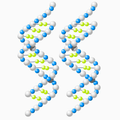 卡通分子结构图下载