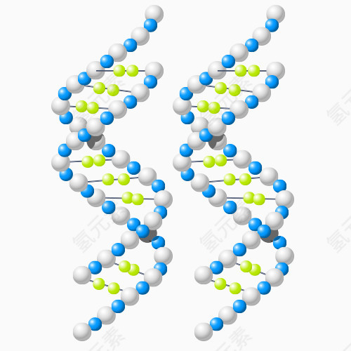 卡通分子结构图