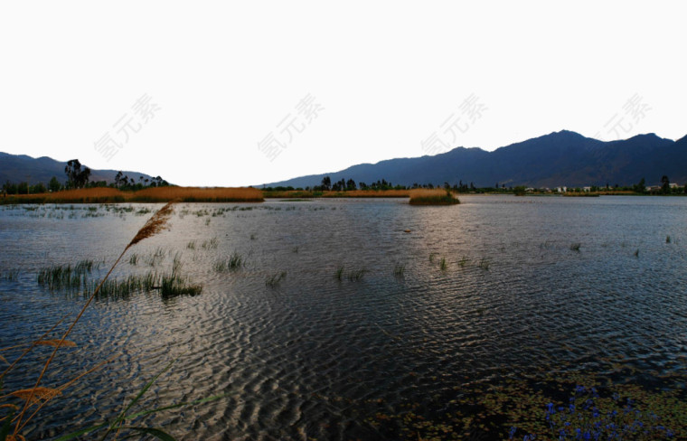 鹤庆草海景区