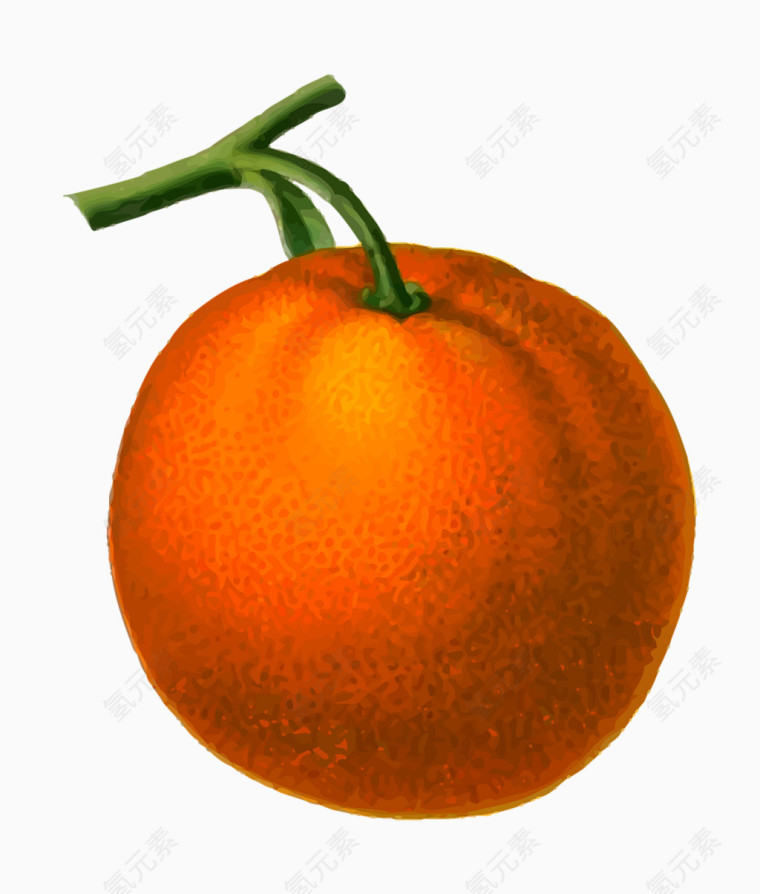 黄色的橘子