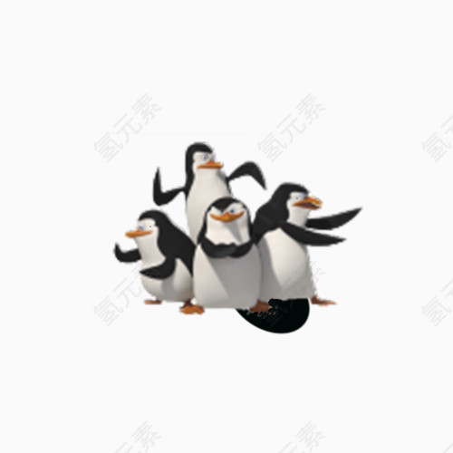 一群小企鹅