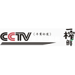 cctv标志