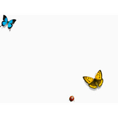 蝴蝶和瓢虫