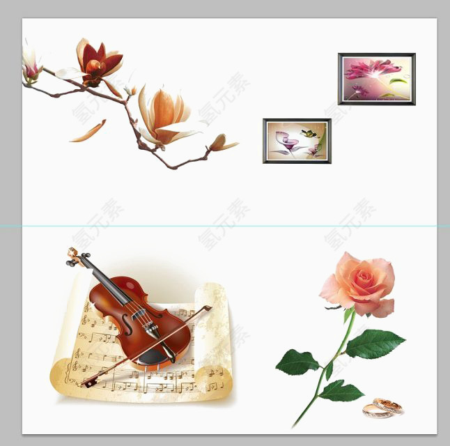 玫瑰花与小提琴