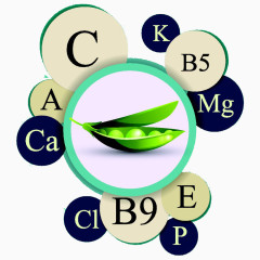 绿色扁豆蔬菜图标