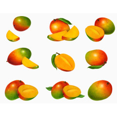 各种芒果水果