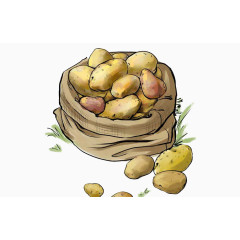 土豆插画