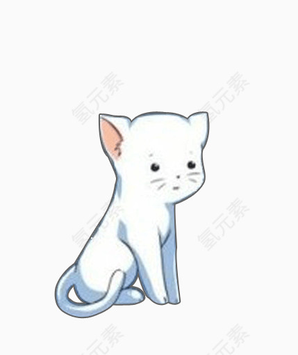奶油白色小猫咪