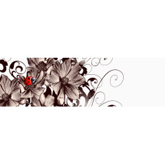 花卉banner背景素材