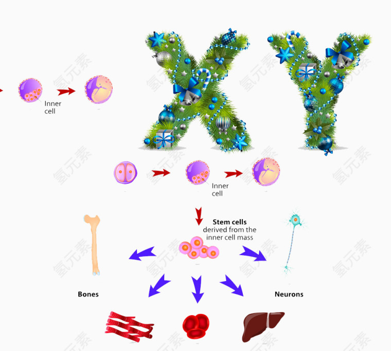 XY高清免扣素材