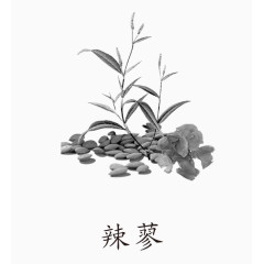 辣蓼草药免抠素材免费下载