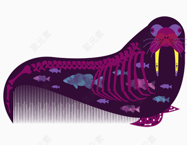 紫色海豹